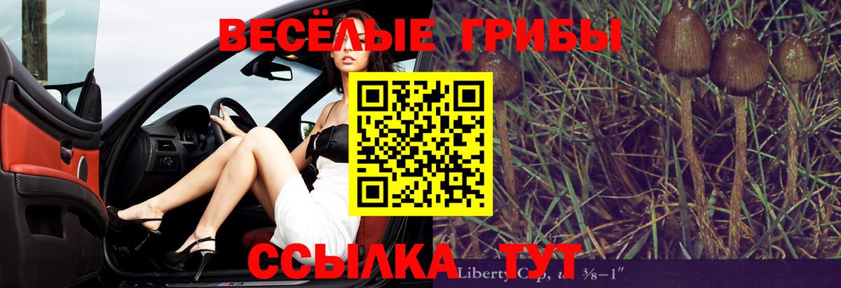 Галлюциногенные грибы Magic Shrooms Киселёвск